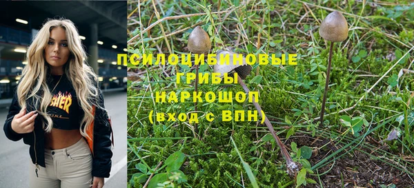 PSILOCYBIN Наволоки