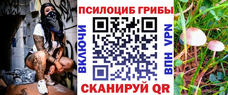 цены наркотик mega маркетплейс Псилоцибиновые грибы Psilocybine cubensis Североморск