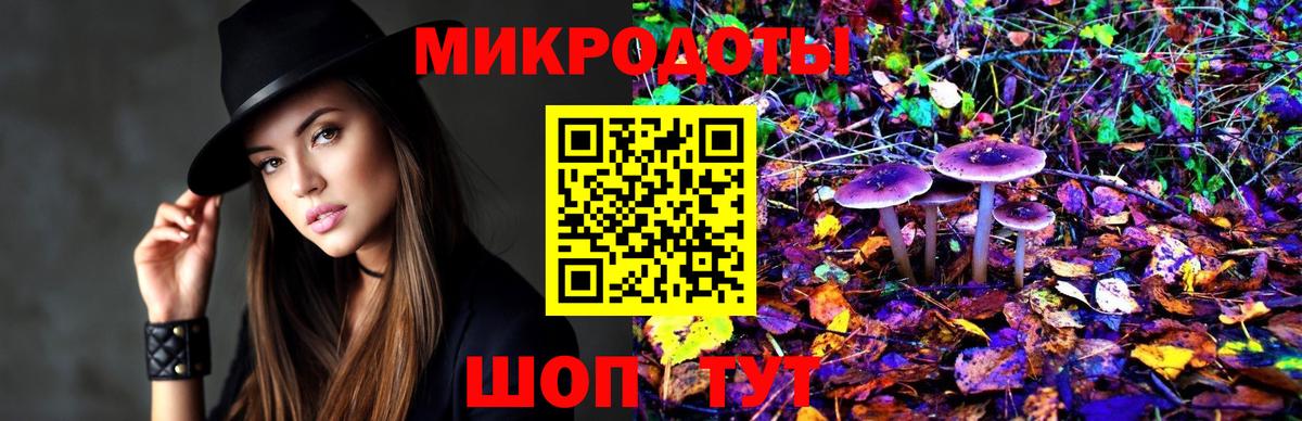 Псилоцибиновые грибы MAGIC MUSHROOMS  Вход с VPN  Североморск  Псилоцибиновые грибы Cubensis 