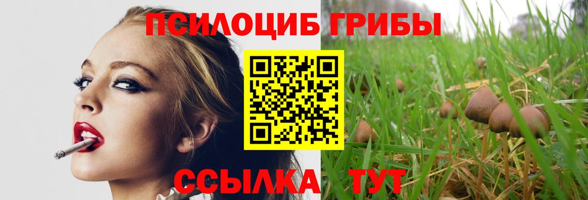 Галлюциногенные грибы Североморск